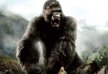 KING KONG 2005