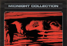 FRERE DE SANG (BASKET CASE)